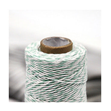 #10 mint コットントワインコード 幅2mm 長さ90M